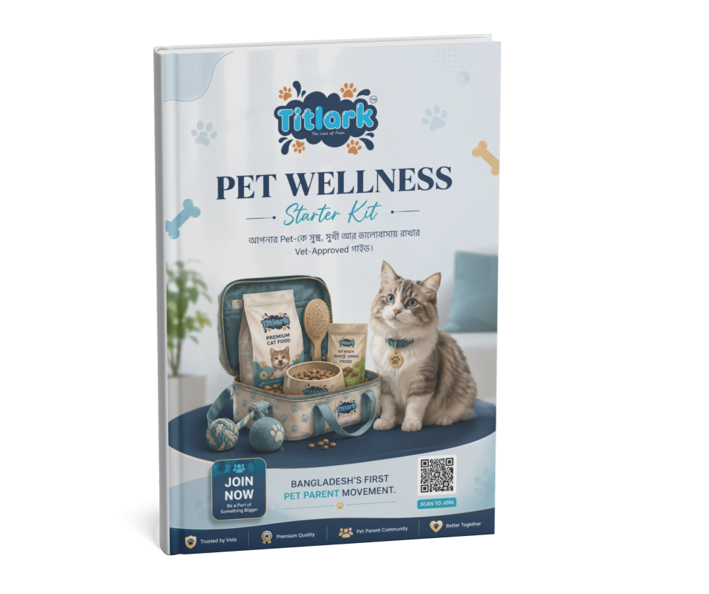 Cat wellness guide